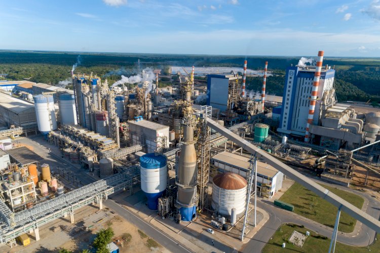 Suzano oferece novas oportunidades de emprego no Espírito Santo
