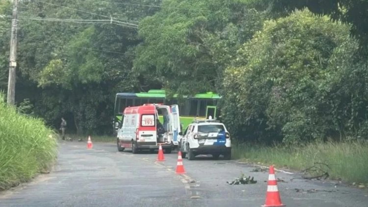 Passageiro fica ferido após ônibus sair da pista e bater em árvore em Aracruz