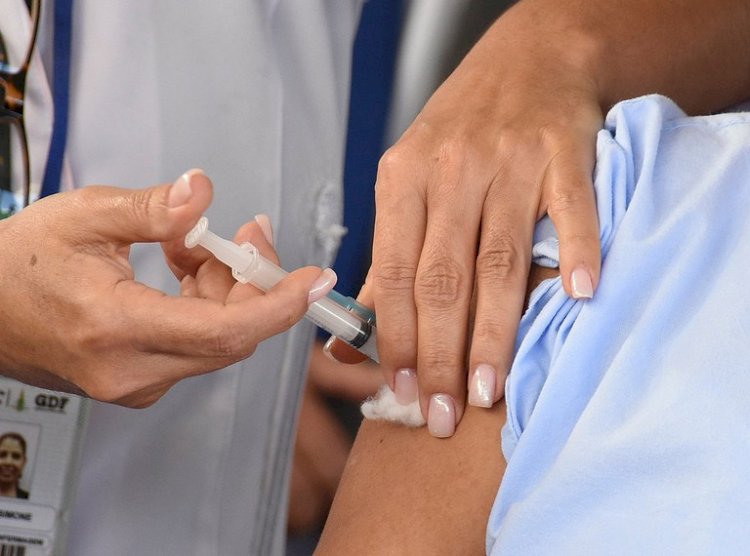 Campanha de vacinação contra a gripe começa nesta segunda