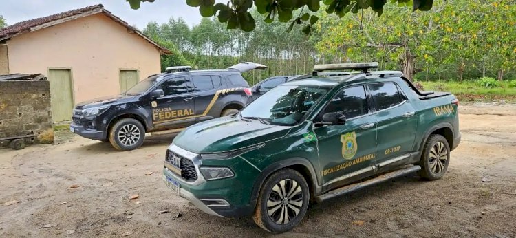 PF cumpre 12 mandados em operação contra caça e venda de animais silvestres