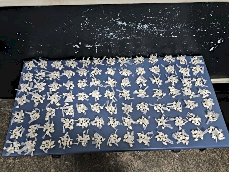 Polícia Civil deflagra operação contra tráfico em Fundão