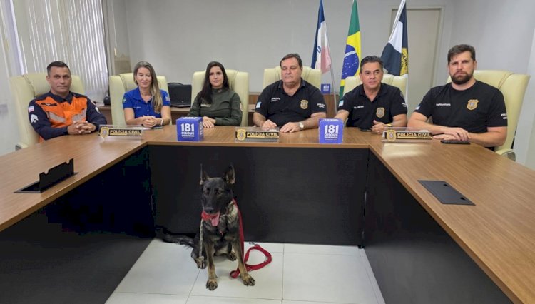 PCES conclui investigação de latrocínio de motorista em Fundão
