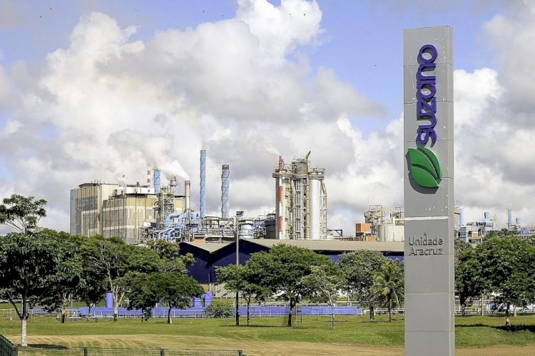 Suzano abre programa de estágio de nível técnico com vaga no ES